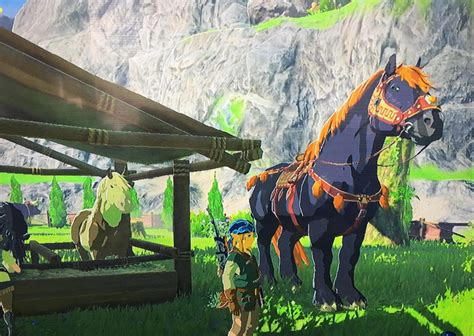 unique horses botw|More.